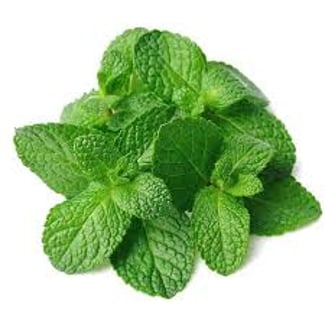 Menthe verte fraîche – Récolte naturelle locale