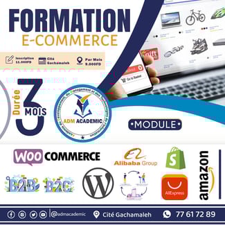 Formation complète en e-commerce : Alibaba, AliExpress, Amazon, Shopify et plus !