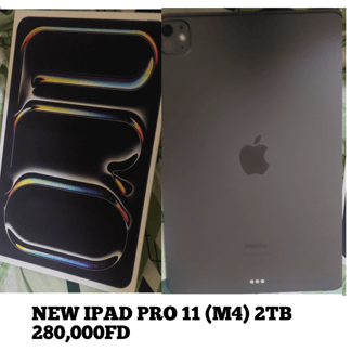 iPad Pro 11 (M4) - Superbe et Léger!