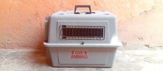 Cage pour animal neuve - Prix avantageux