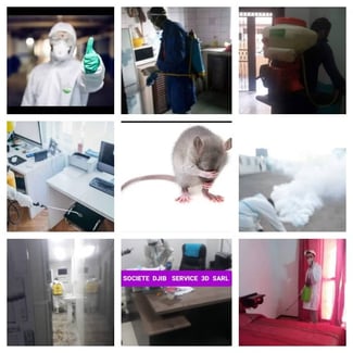 D&eacute;ratisation, d&eacute;sinfection et d&eacute;sinsectisation - Soci&eacute;t&eacute; Djib Service 3D