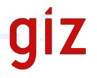 Junior Project Manager &ndash; GIZ Internal/External Vacancy