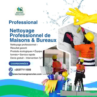 Nettoyage &eacute;cologique de maisons et bureaux