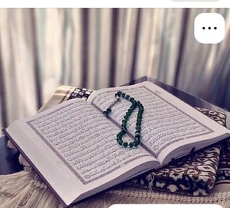 Jeune dipl&ocirc;m&eacute;e en gestion et administration &agrave; la recherche d'un emploi