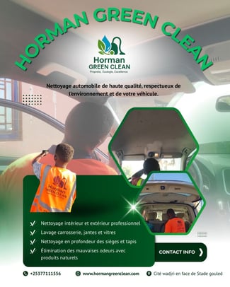 Nettoyage int&eacute;rieur &eacute;cologique de voiture