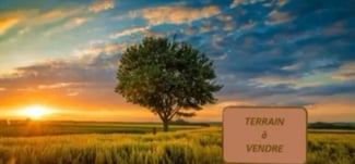 Terrain &agrave; vendre 400m&sup2; &agrave; Haramous sud - Titre foncier disponible