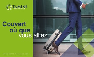 Assurance Voyage – Tamini Insurance