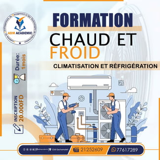 Formation Pratique en Chaud et Froid : Climatiseurs et Réfrigérateurs
