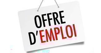 Offre d'emploi - Agent Commercial(e) automobile – Djibsou SARL