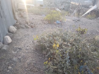 Terrain de 150m² à Balbala 11