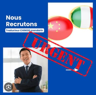Traducteur(trice) chinois-français/anglais urgent et disponible