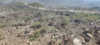 Terrain 300m² avec vue exceptionnelle à Arta Boula