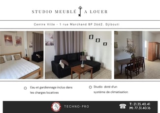 Studio meublé lumineux avec climatisation quartier du Héron