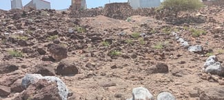 Terrain 200m² avec titre provisoire à Arta secteur Haji Dereh