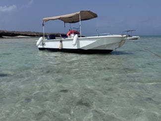 Bateau 7m Yamaha V6 150 CV avec sondeur GPS