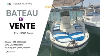 Bateau de pêche avec moteur 115 CV, bien équipé