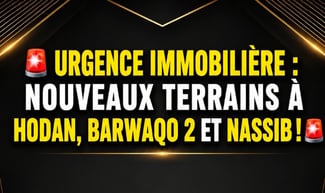 🚨 PLUSIEURS TERRAINS DISPONIBLE : HODAN, BARWAQO 2, NASSIB, OumSalama!