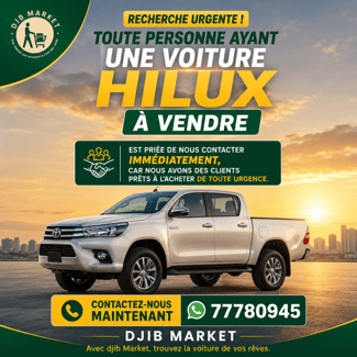 Recherche Toyota Hilux en bon état