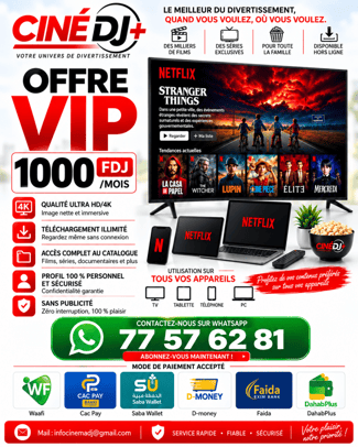 Abonnement Netflix fiable avec activation rapide et assistance