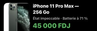 iPhone 11 Pro Max 256 Go Noir Gris Mat, bon état