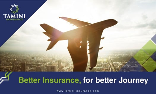 Assurance Voyage – Tamini Insurance