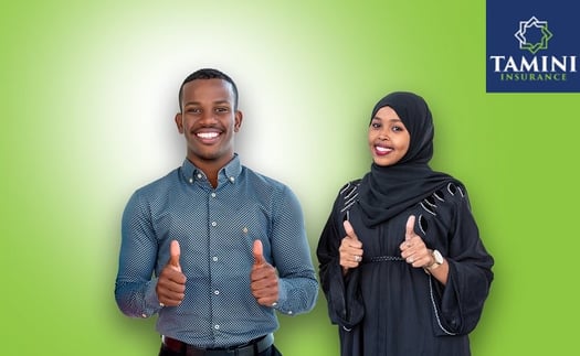 Assurance Habitation – Tamini Insurance