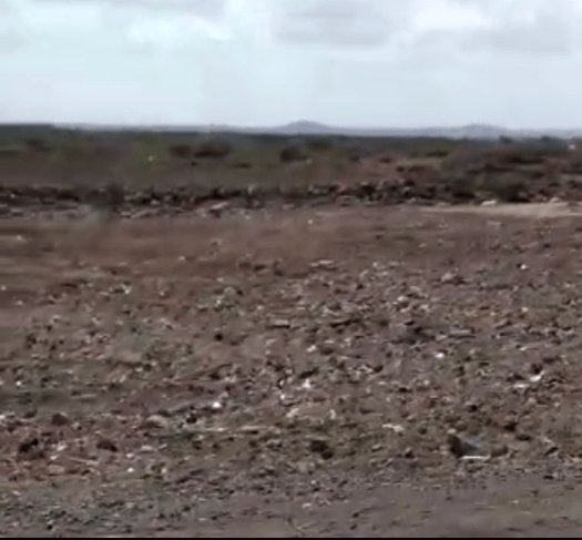 Terrain de 250m2 à vendre situé à l'Ouest de l'Université de Balbala