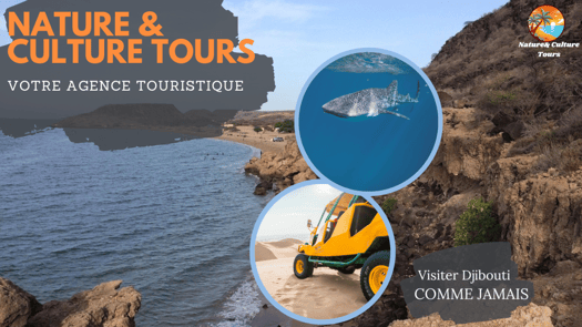 Nature & Culture Tours, Votre Agence de Tourisme