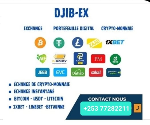 Services de change en ligne sécurisés et rapides à l'échelle mondiale