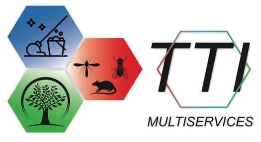 Expert Pest Control Services in Djibouti - Tip Top Insecte