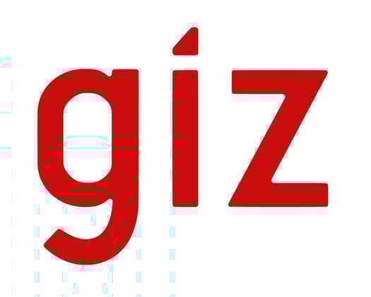 GIZ Internal/External Vacancy Announcement: Internship