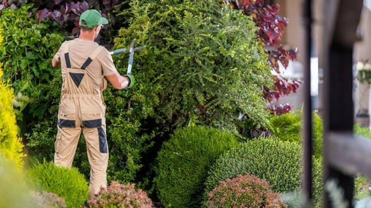 Jardinier expérimenté pour embellir votre jardin !