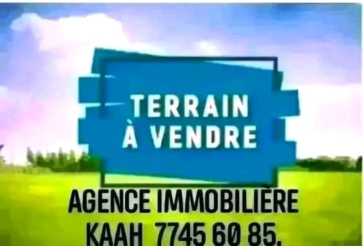 Terrain à vendre de 461m² à Haramous - Prix attractif