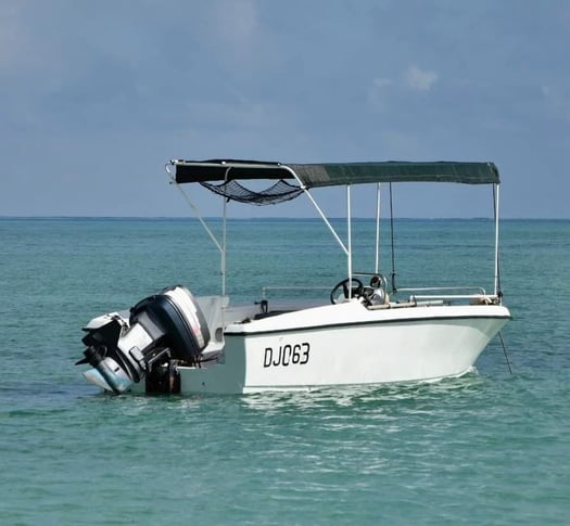 Bateau artisanal pêche-promenade avec double moteur Yamaha