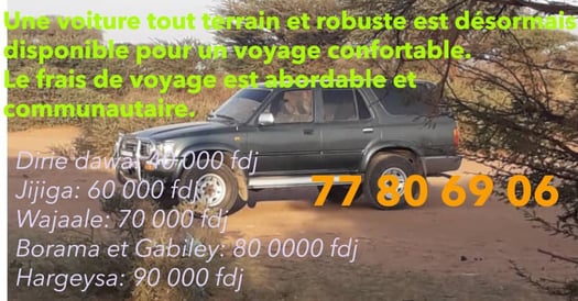 Voiture tout-terrain pour un voyage confortable à petit prix!