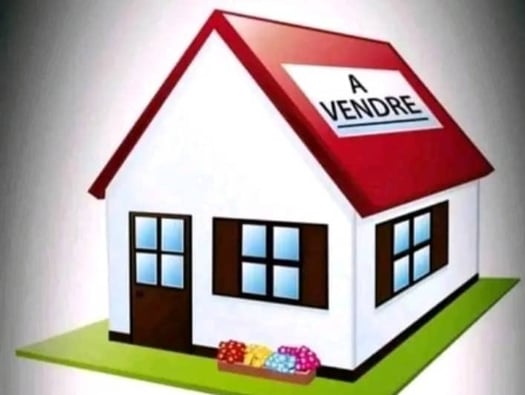 Bâtiment R×2 commercial à vendre a cote place Minilik