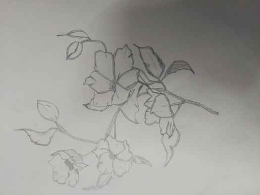 Dessin de fleur pour salon
