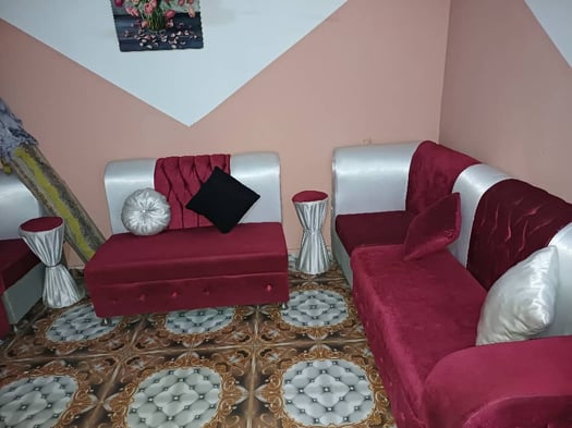 Salon à vendre - Très peu utilisé