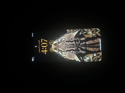 iPhone XR 128 Go, bon état