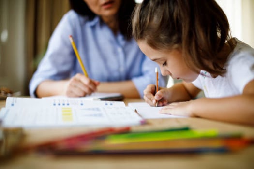 Cours particuliers pour élèves du primaire, collège et lycée