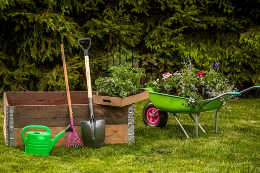Expert en Jardinage à Domicile - Entretien, Taille, Nettoyage