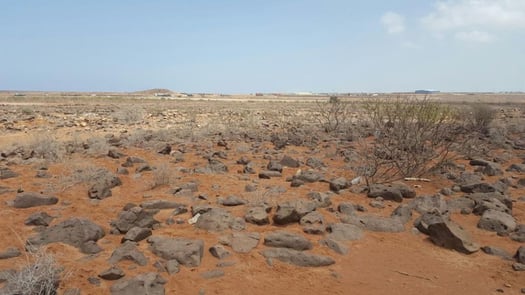 Terrain de 3 000m² à louer à PK18 avec titre foncier