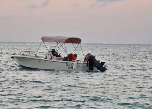 Bateau White Shark 7m, moteur Yamaha 115CV en bon état