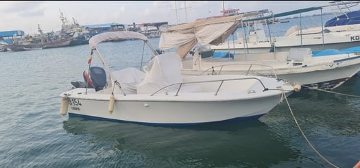 Bateau White Shark 7m, moteur Yamaha 115CV en bon état