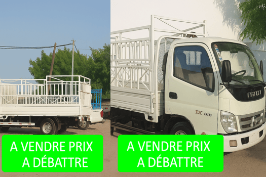 Proton en bon état, climatisation à réparer