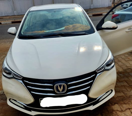 Changan Alsvin en excellent état, 8 000 km, prix négociable