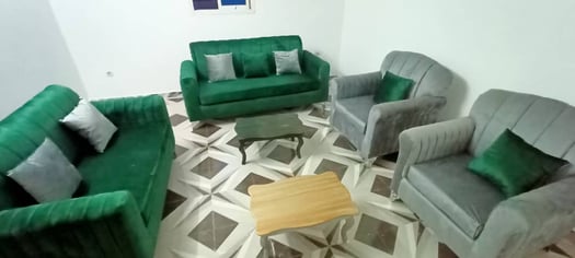 Canapés modernes vert & gris - très bon état