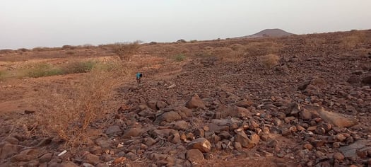 Terrain de 2 hectares à Nagad, prix abordable