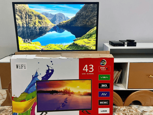 Salon complet avec chambre à coucher et TV en très bon état