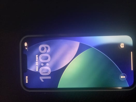 Iphone 13 Pro Max, État Excellent, Batterie à 87%, Prix Compétitif